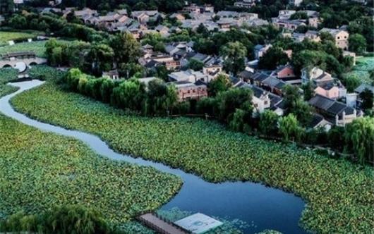 Civiltà ecologica, rivoluzione ecologica. Una prospettiva ecologico-marxista, di John Bellamy Foster - Antropocene.org