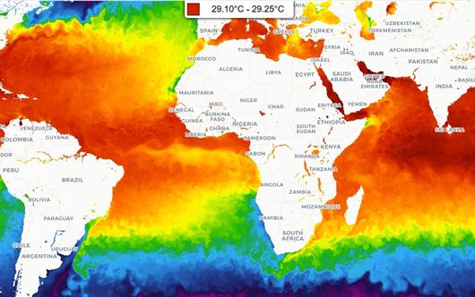 Mappa delle temperature nei mari e negli oceani