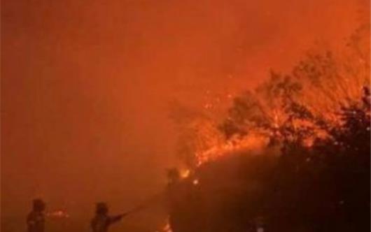 Crisi climatica tra incendi apocalittici e la bufala della “transizione”, con Riccardo Laterza, Andrea Turco e Rosi Battaglia - Infoaut.org