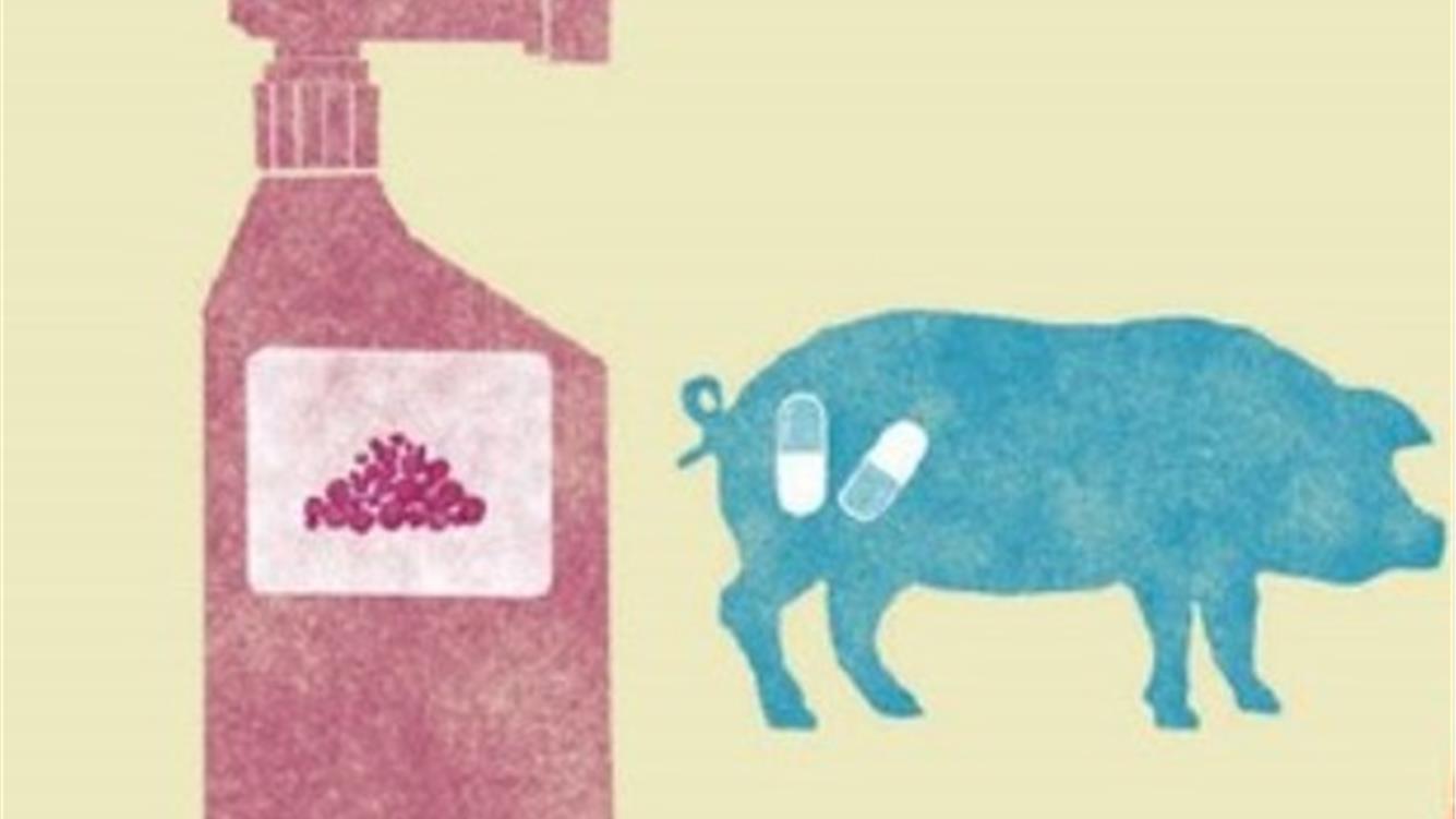 Top 10 dei giganti dell'agribusiness: la concentrazione delle corporations del food & farming nel 2025/2