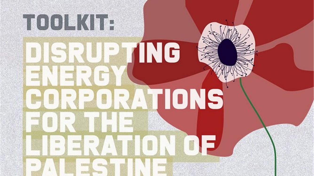 Per la liberazione della Palestina fermare le multinazionali dell'energia