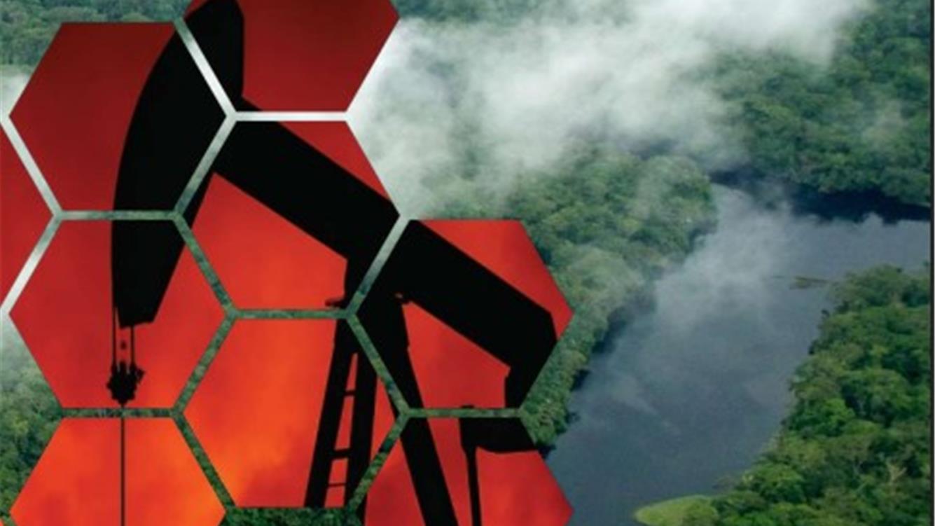 Dalle foreste alle linee del fronte: le minacce di espansione petrolifera nella RDC