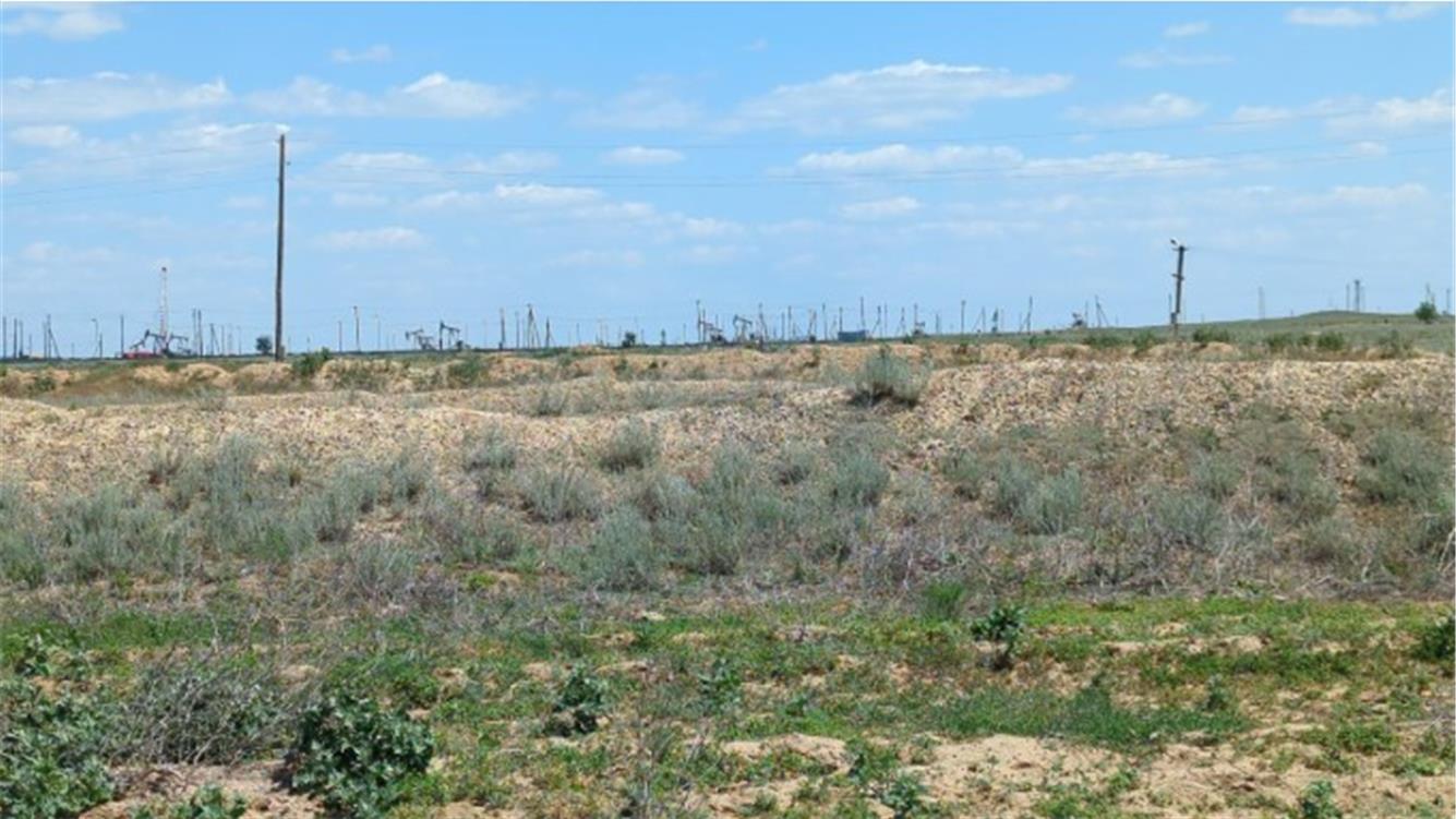 L'aria tossica e le promesse infrante di Kokzhide