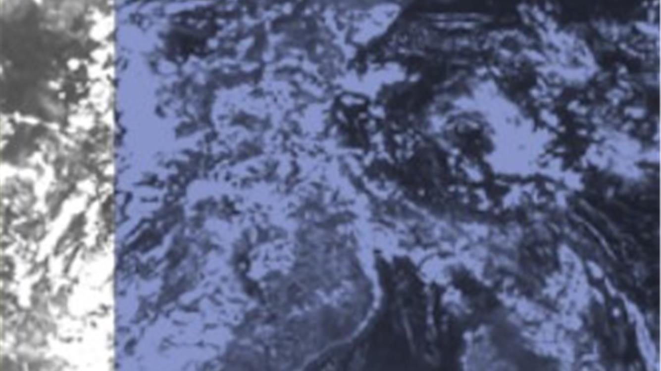 Le cure dentro e oltre l'Antropocene. Un percorso interdisciplinare di fronte alle crisi socio-ecologiche