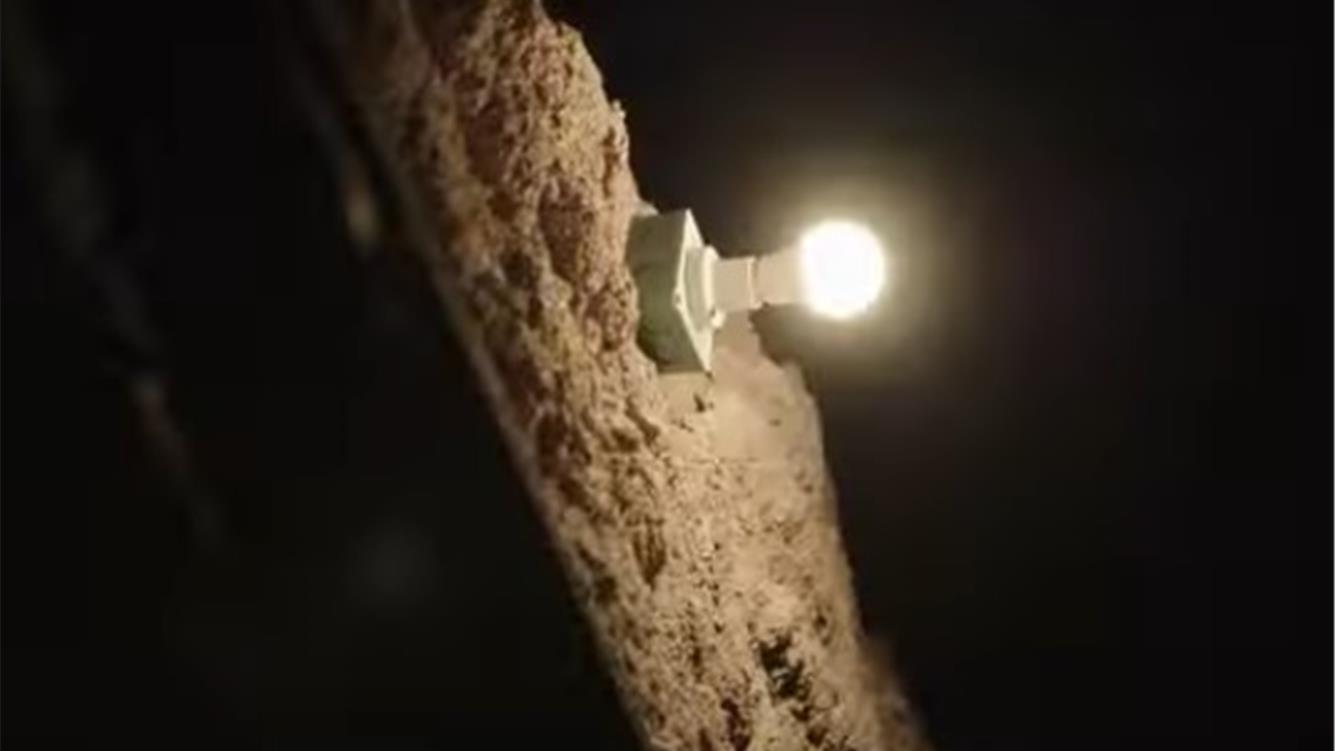 Trasformare il paradigma energetico: diritti della natura e transizioni ecosociali 