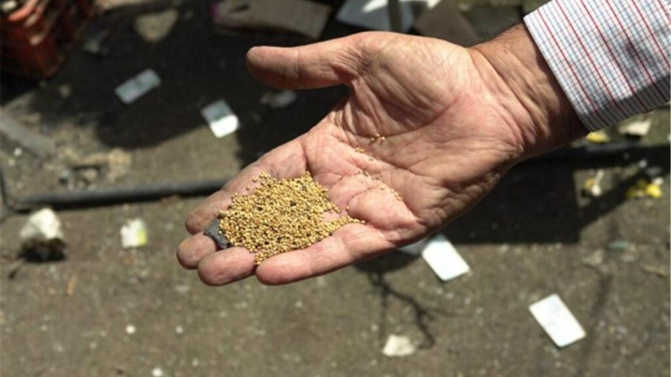 Un'ecologia politica anticoloniale della Cisgiordania occupata