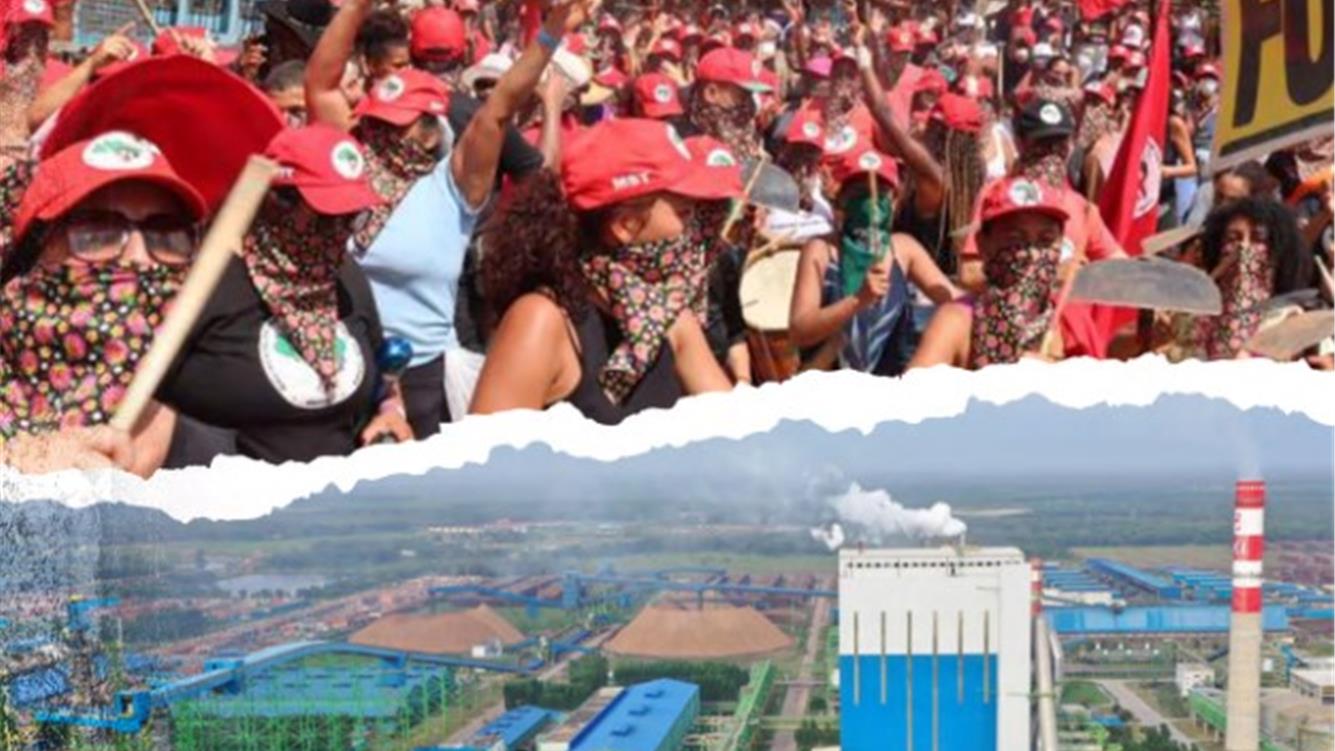 Le bugie delle aziende dietro l'espansione delle piantagioni industriali di alberi