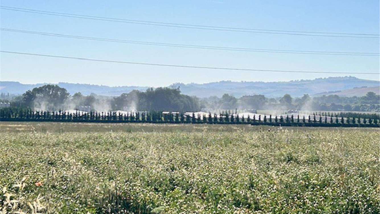 La società civile contro un colosso dell’agroalimentare