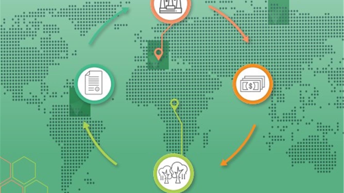 Acquisizioni di terreni su larga scala per la compensazione delle emissioni di carbonio: accaparramento verde o transizione giusta? 