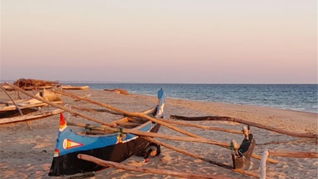 Neocolonialismo in nome della transizione verde. Estrazione di terre rare in Madagascar/5