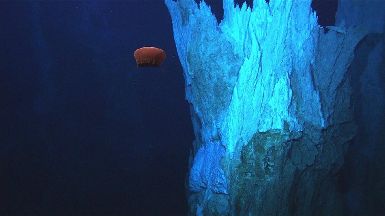 Quanto poco abbiamo visto: una stima della copertura visiva del fondale marino profondo