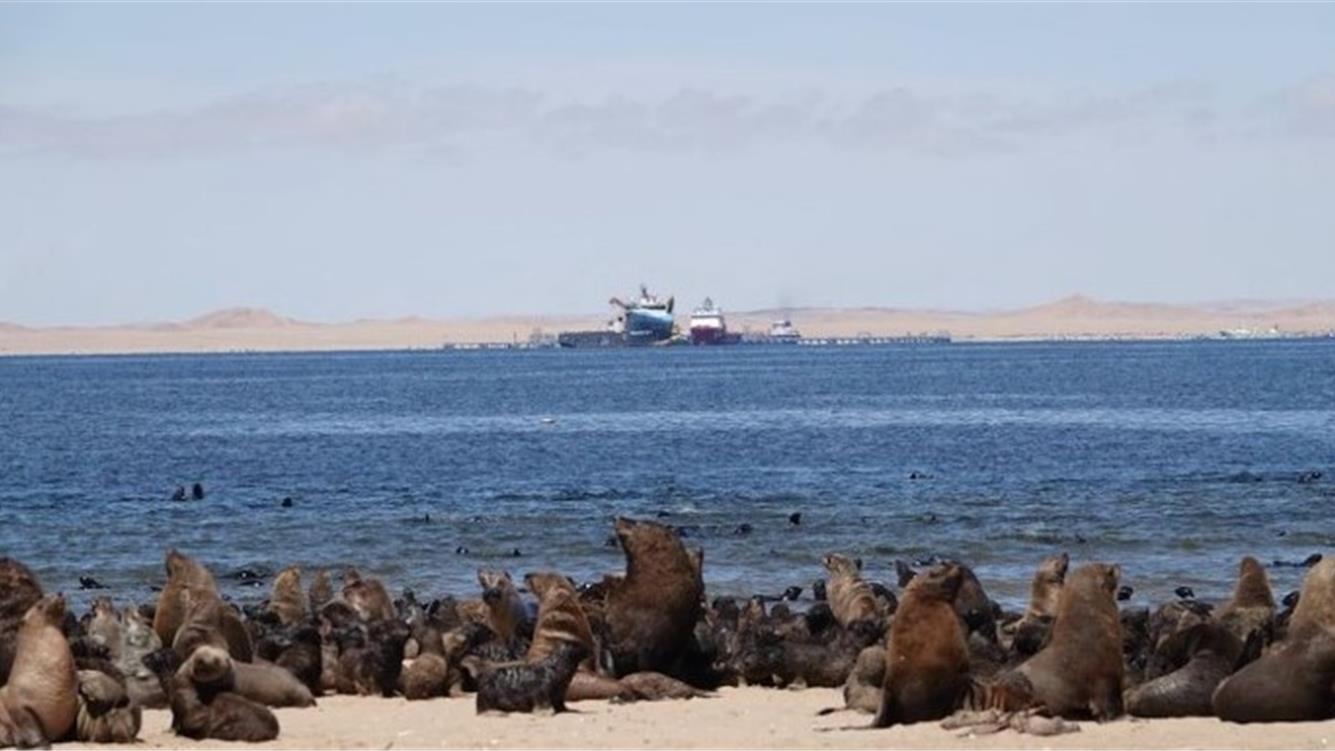 La corsa al petrolio della Namibia: chi ne trae i maggiori benefici e chi detiene il potere?  