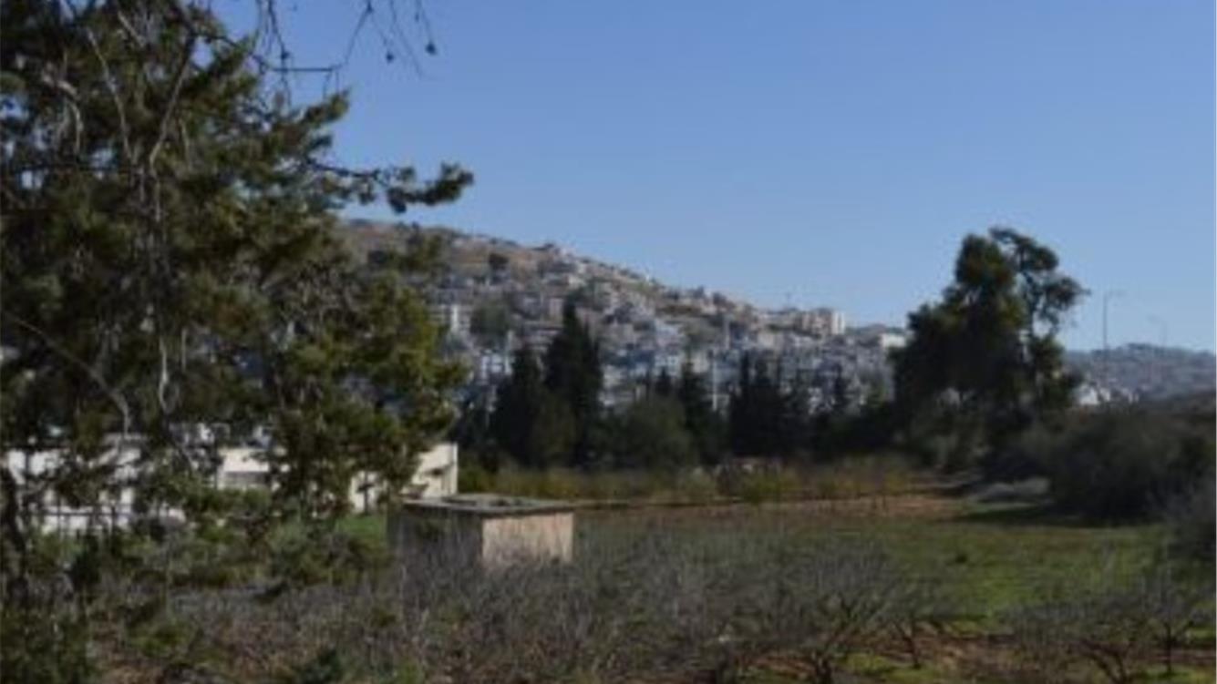 La devastazione ambientale è un'arma del sionismo 