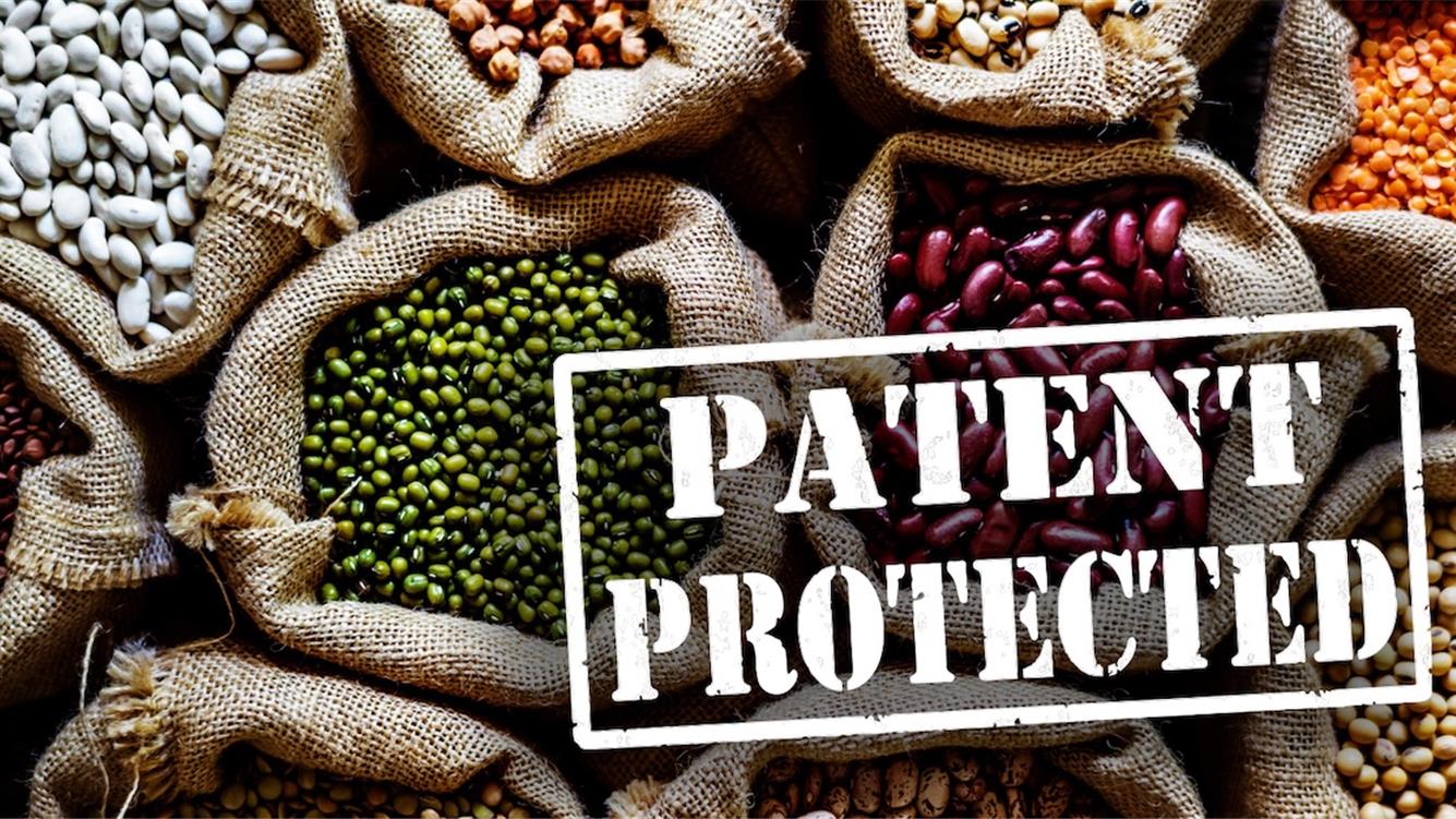 Unione Europea e Nuove Tecniche Genomiche: un passo avanti nella deregolamentazione