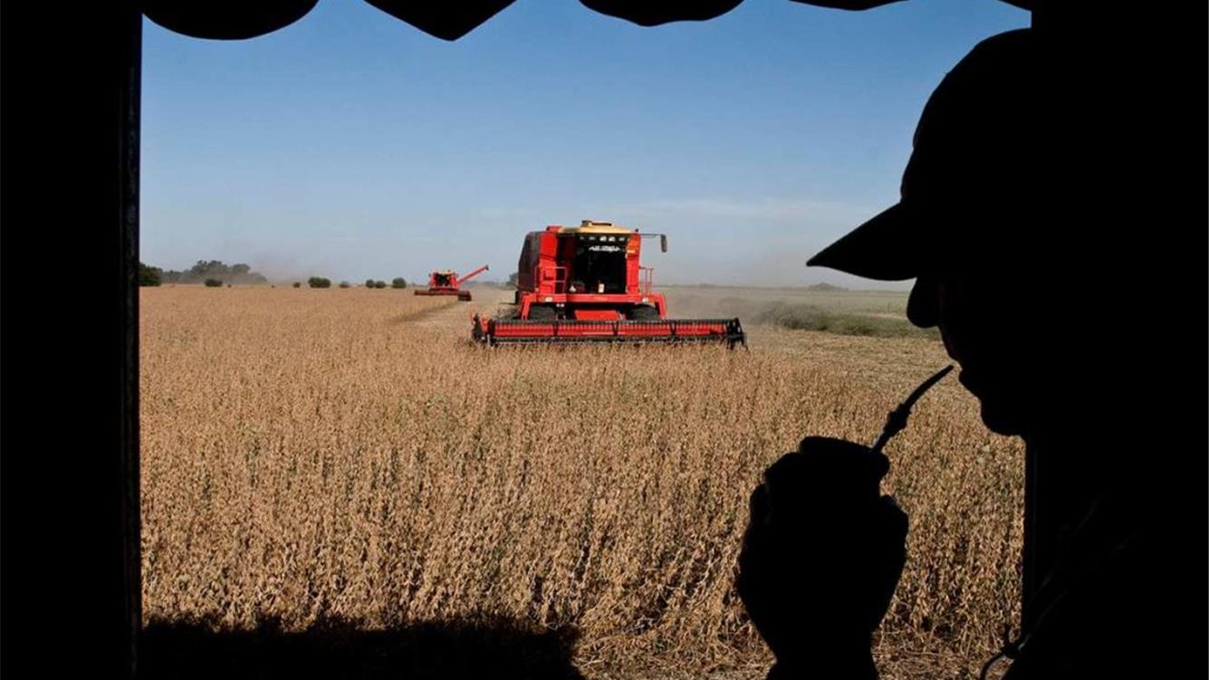 Rapporto annuale sullo stato della sovranità alimentare in Argentina  