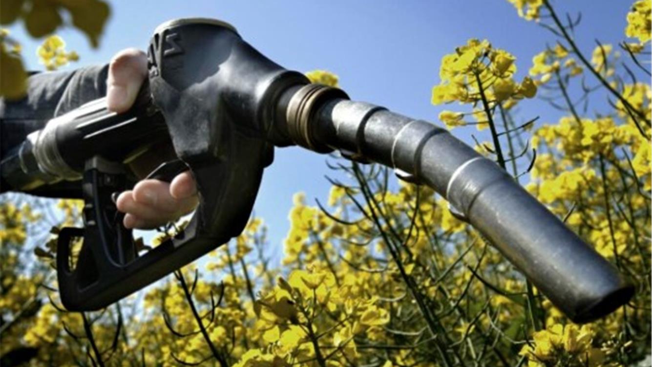 Biocarburanti: una falsa soluzione per mantenere tutto com'è  