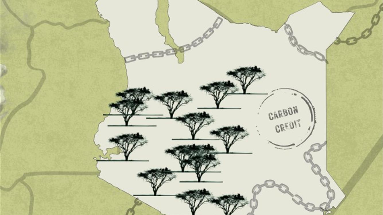 Carbonio: la nuova frontiera nella corsa alla terra in Kenya 