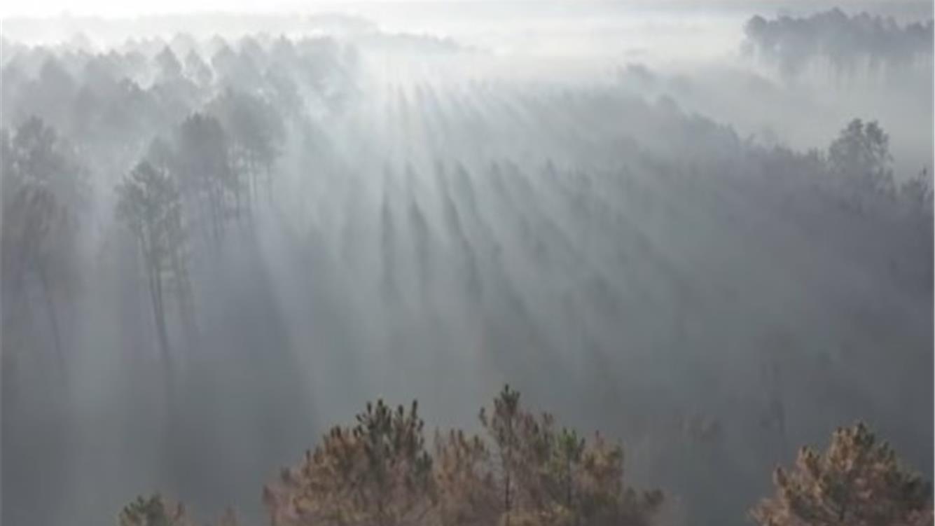 Presentare la fattura degli incendi 
