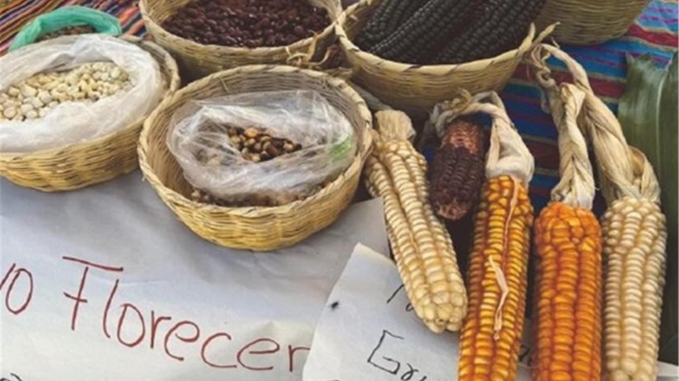 Invasione territoriale e nuovi latifondi agroindustriali 