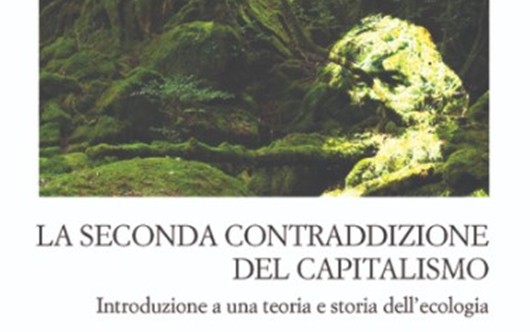 Ecologia di lotta o di governo? Recensione: 