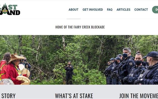 Last Stand for Forest