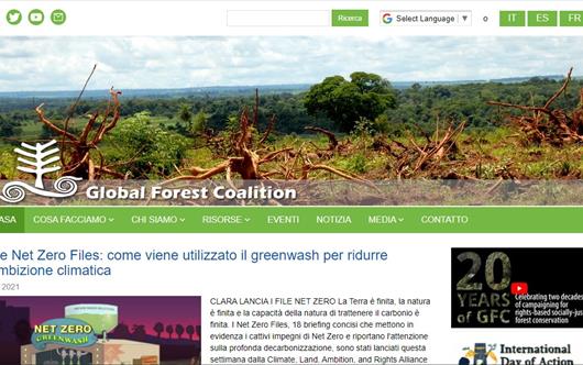 Global Forest Coalition 