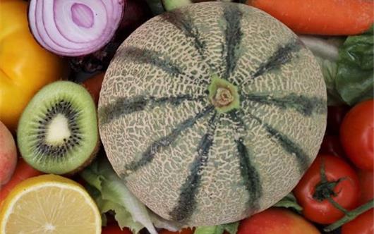 Agricoltura. I passi del gambero, di Gianfranco Laccone - Comune-info.net